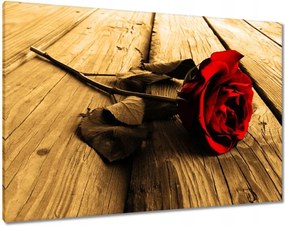 Vászonkép 100x70 Rózsa szépia deszkákon