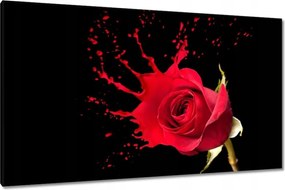 Vászonkép 120x70 Fröccsenő rózsa