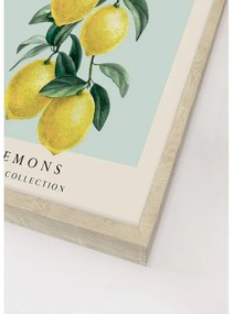 Levitaiting lemons kép