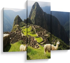 Kép - Lámák Machu Picchuban (90x60 cm)