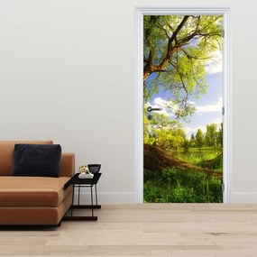 Fotótapéta ajtóra - Tavaszi rét (95x205cm)