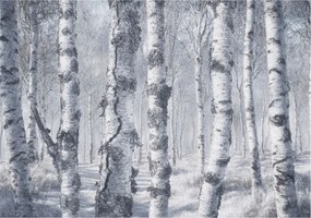 Fotótapéta Flizelin Hálószoba és Nappali Tapéta Fagyos természet 312x219