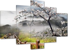 Képek 150x105 Japán Virágzó cseresznye