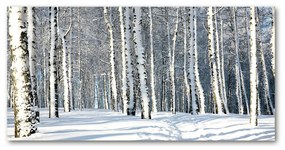 Akrilkép Erdőben télen oah-61171749