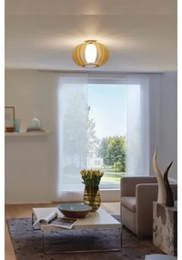 Eglo 95597 - Mennyezeti lámpa STELLATO 1 1xE27/60W/230V