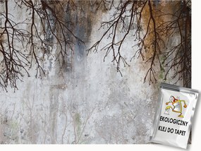 Fotótapéta Flizelina Fal Szürke Beton Fa Ágak Rozsda 100x75 ragasztó