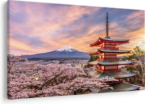 Kép - Fuji (90x60 cm)