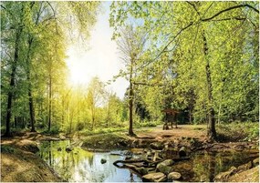 Fotótapéta Erdő Fák Táj Természet 3D 254x184