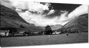 Vászonkép 115x55 Bárányok a réten