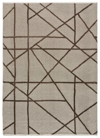 Világosbarna szőnyeg 160x230 cm Lux – Universal