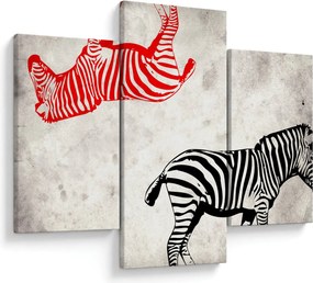Kép - Zebrák (90x60 cm)