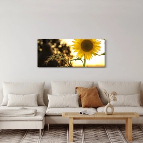 Napraforgó képe (120x50 cm)