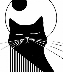 Poszter 30x30cm Éjszakai vibráló doromboló