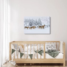 Kép - Farkasok a hegyekben (90x60 cm)