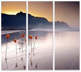 Kép szett 3 db-os 20x50 cm – Wallity