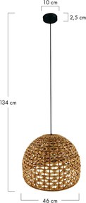 Dijk WATER HYACINTH 55874-017 Függőlámpa 1x40W/E27 IP20