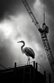 Poszter 56,6x86,4cm Magasan a horizont felett