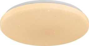 Rabalux 71448 - Dimmelhető LED mennyezeti lámpa DANNY 2x LED/80W/230V 3000–6500K átm. 77 cm + távirányító