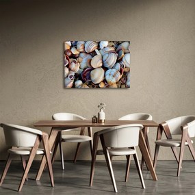 Kagyló képe (70x50 cm)