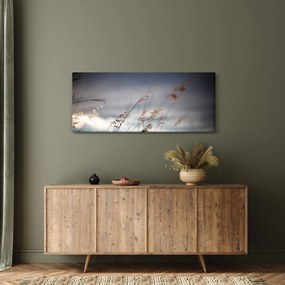 Kép - Rét virágai a tónál (120x50 cm)
