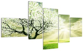 Tavaszi fa - modern kép (150x85cm)