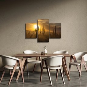 Kép - Saguaro kaktuszok (90x60 cm)