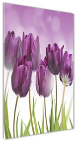 Egyedi üvegkép Lila tulipánok osv-52340543