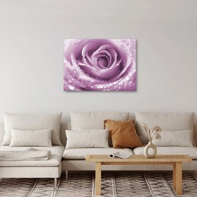 Egy rózsa virág részlete (70x50 cm)
