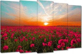 Vászonkép 150x95 Rózsaszín pipacsok Naplemente