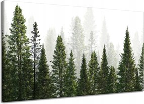 Vászonkép Esőerdő Természet Fák 120x70 cm