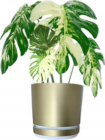 32 cm-es műanyag kaspó állvánnyal és vízelvezetővel Arany Pezsgő fehér