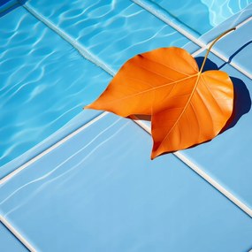 Poszter 30x30cm LevĂ©l a vĂz mellett