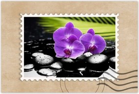 Poszter 60x40 Lila orchideák