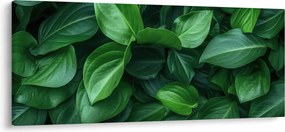 Kép - Zöld levelek (120x50 cm)