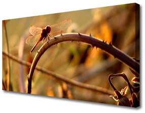 Vászonkép Dragonfly Nature Plant 100x50 cm
