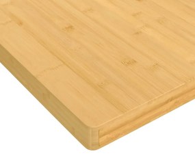 bambusz asztallap 40 x 80 x 2,5 cm