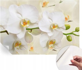 Design fali fotótapéta öntapadós virågos gazdagsåg 152x104 cm