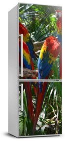 Hűtő matrica Papagájok ara FridgeStick-70x190-f-100820443