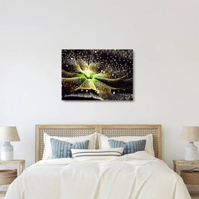Kép - virág részlete (üvegen) (70x50 cm)