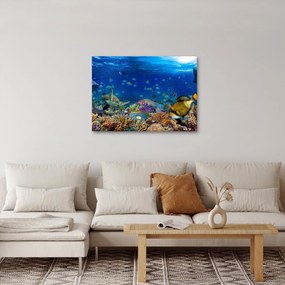 Kép - Óceán (70x50 cm)
