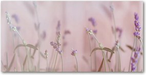 Fotótapéta falra edzett üveg Levendula 140x70
