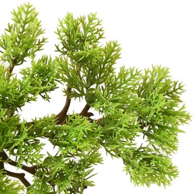 zöld cserepes mű ciprusbonsai 60 cm