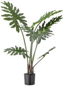 Művirág (magasság 84 cm) Philodendron – Bloomingville