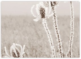 Kép - Gyűszű télen (70x50 cm)