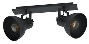 Eglo 43432 - Spotlámpa BARNSTAPLE 2 2xE27/40W/230V