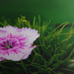 Rózsaszín virág képe (90x60 cm)