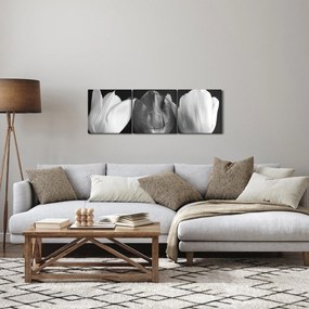 Kép - fekete-fehér tulipán virág (órával) (90x30 cm)