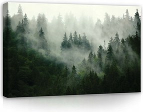 Vászonkép 60x40 Erdő a ködben ködös erdő természet tájkép misztikum nyugalom csend