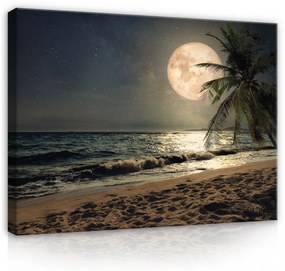 Vászonkép, Éjszakai tengerpart, 60x40 cm méretben