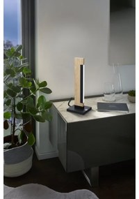 Eglo 99295 - Fényerőszabályozható CAMACHO asztali lámpa LED/6,5W/230V